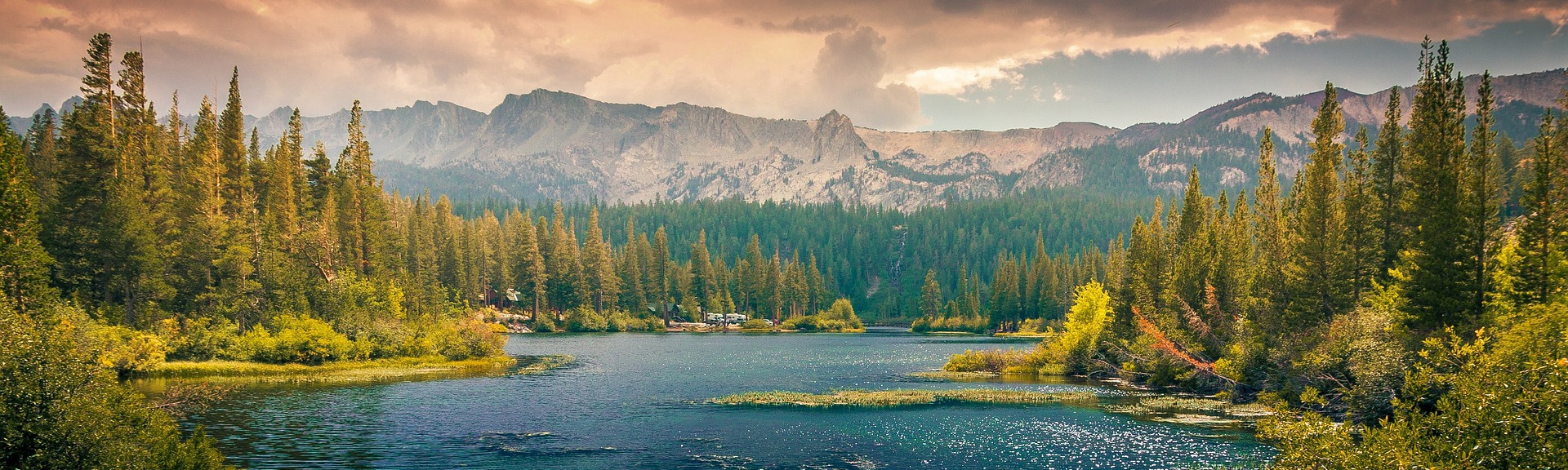 Accurate Map Of The World